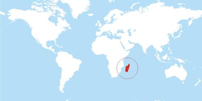 Mapa lokalizacji Madagaskar na świat