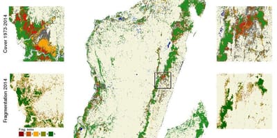 Mapa Madagaskaru wylesiania